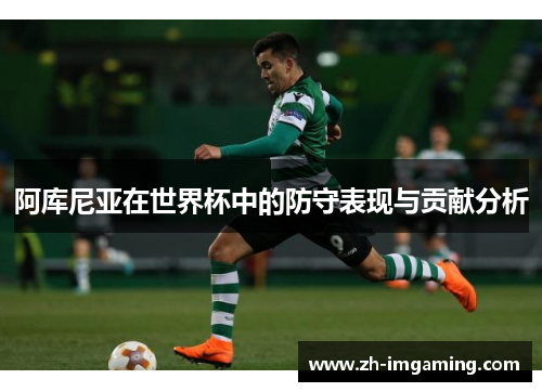 阿库尼亚在世界杯中的防守表现与贡献分析
