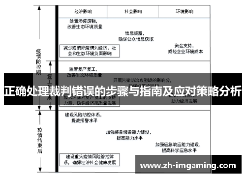 正确处理裁判错误的步骤与指南及应对策略分析